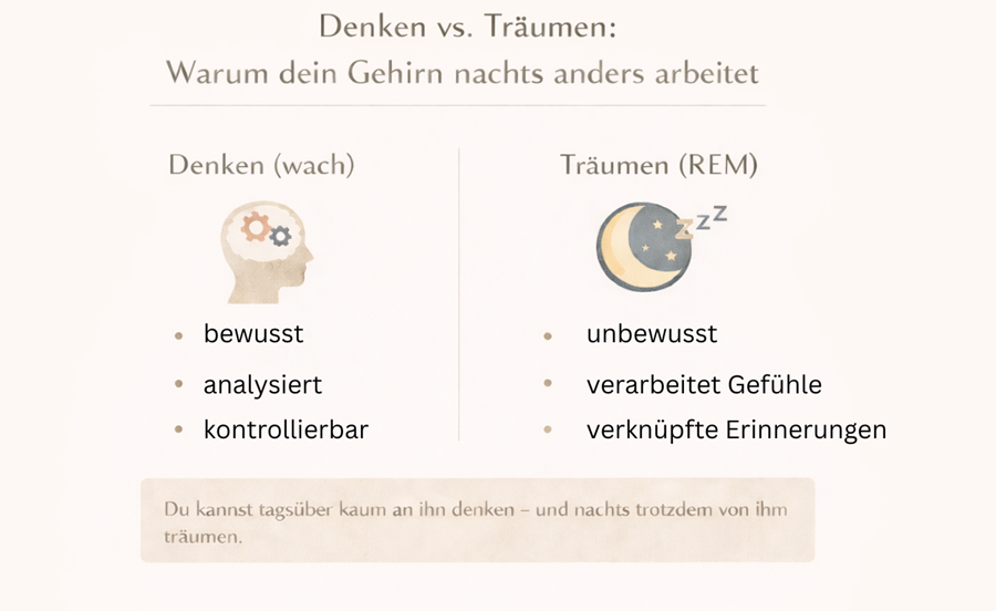 Infografik zum Vergleich von Denken im Wachzustand und Träumen in der REM-Phase – wie das Gehirn Gefühle nach einer Trennung verarbeitet.